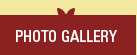 Photo Gallery